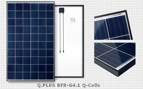 Q PLUS BFR-G4.1 - Solar Module - Q-Cells